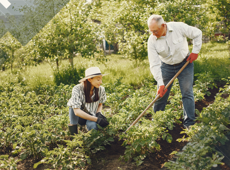 Agricultura 