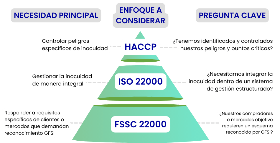 ¿Qué necesidad está tratando de resolver su organización?