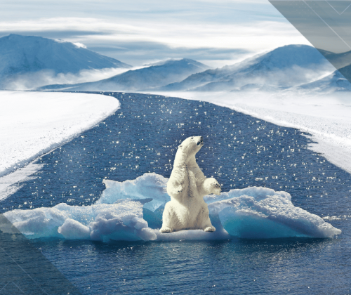 Actualización Adenda Cambio Climático