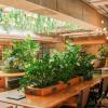 ISO 14001 2026 | Bureau Veritas Certification 